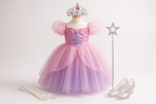 Princess Dress-Up Costume Set